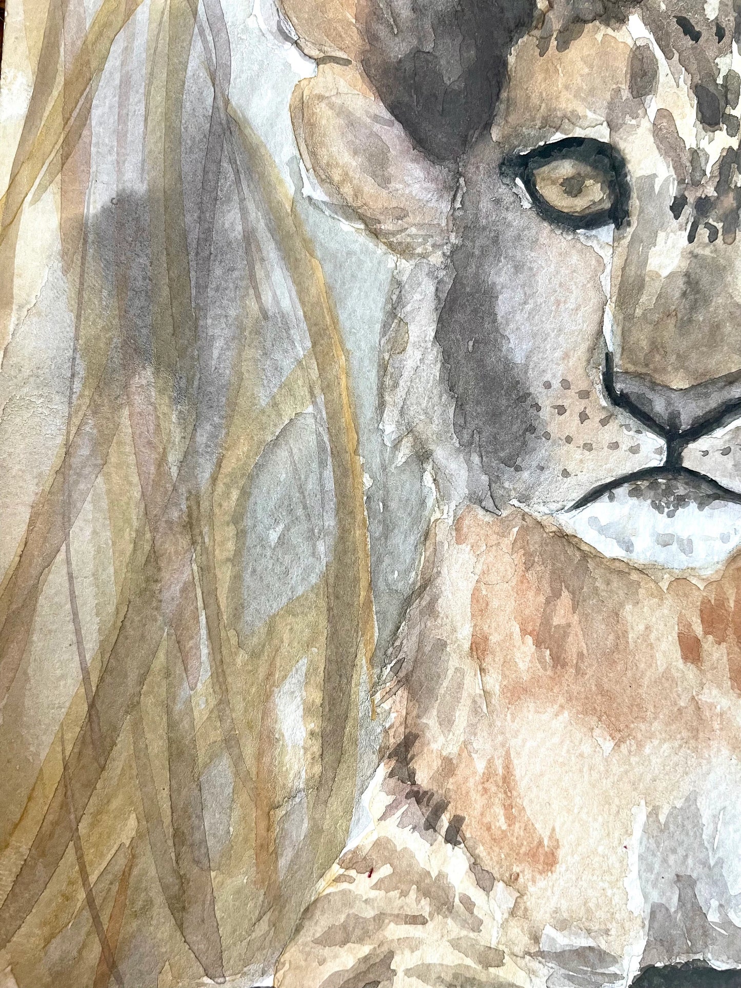 Lion Cub (watercolor print)