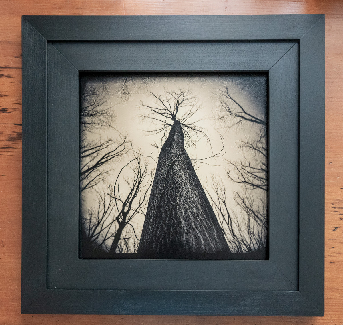 Photography and Digital Works