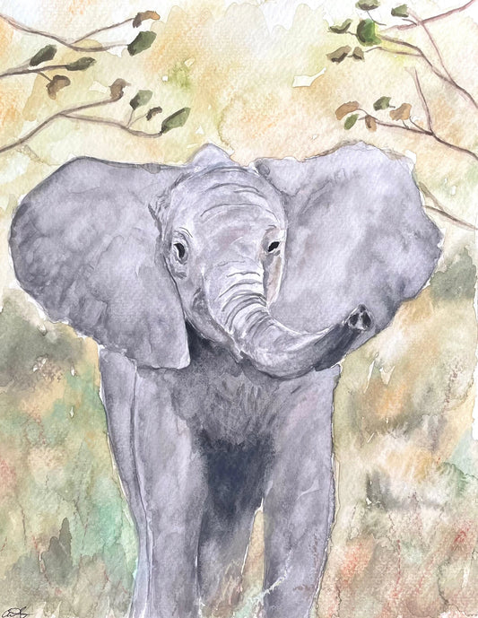 Baby Elephant (watercolor print)