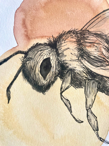 Bee (watercolor print)