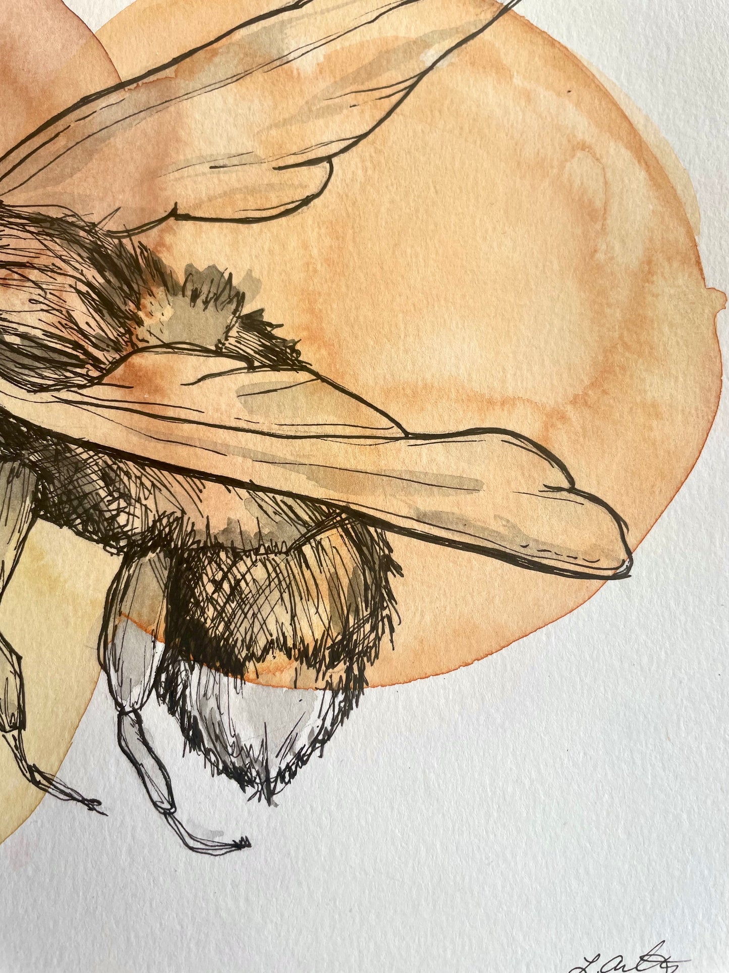 Bee (watercolor print)