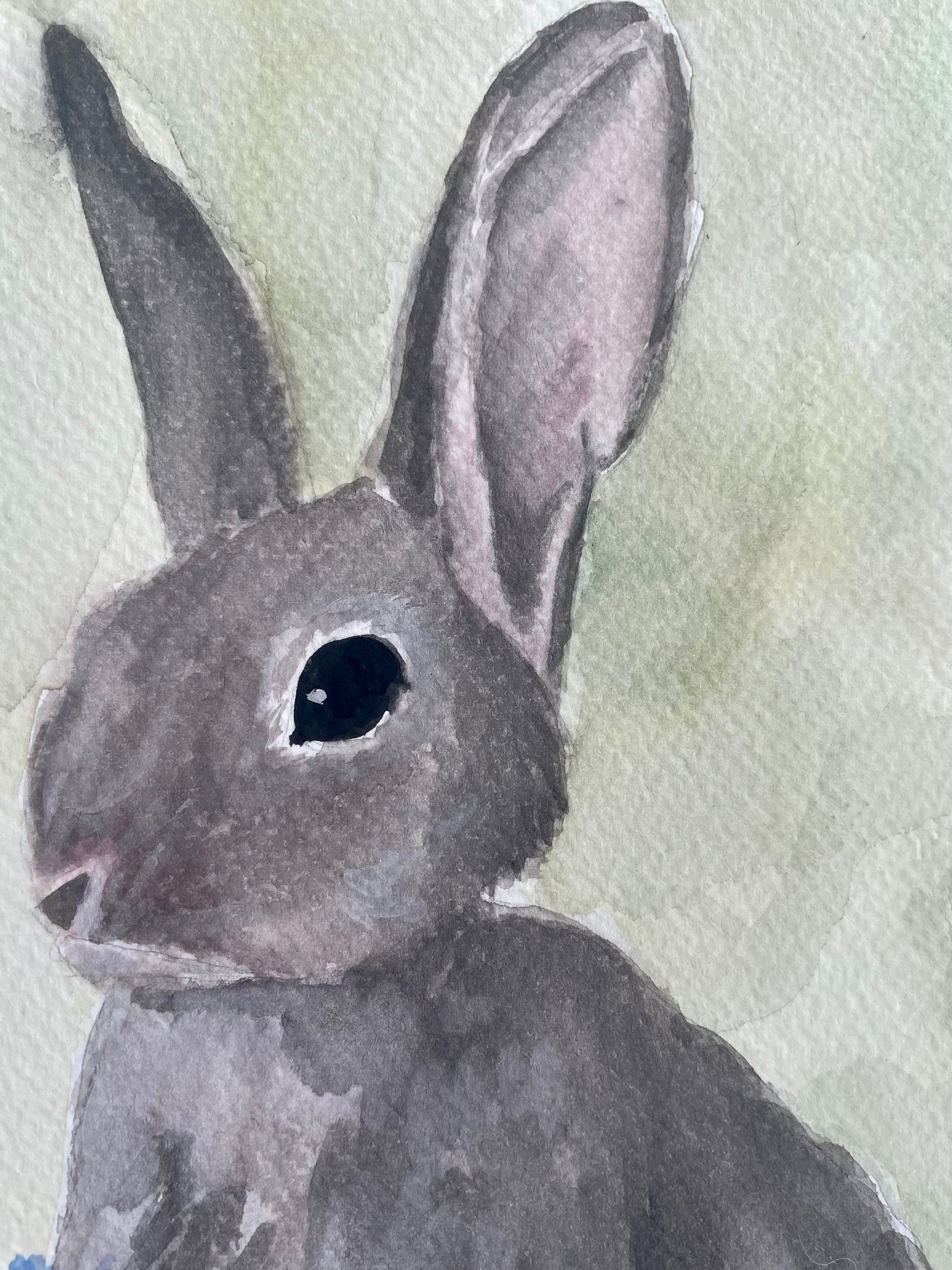 Bunny in the Wildflowers (watercolor print)