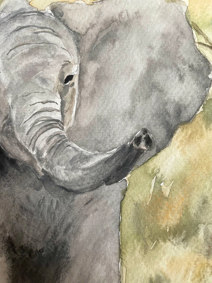 Baby Elephant (watercolor print)