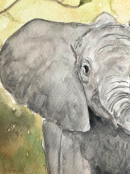 Baby Elephant (watercolor print)