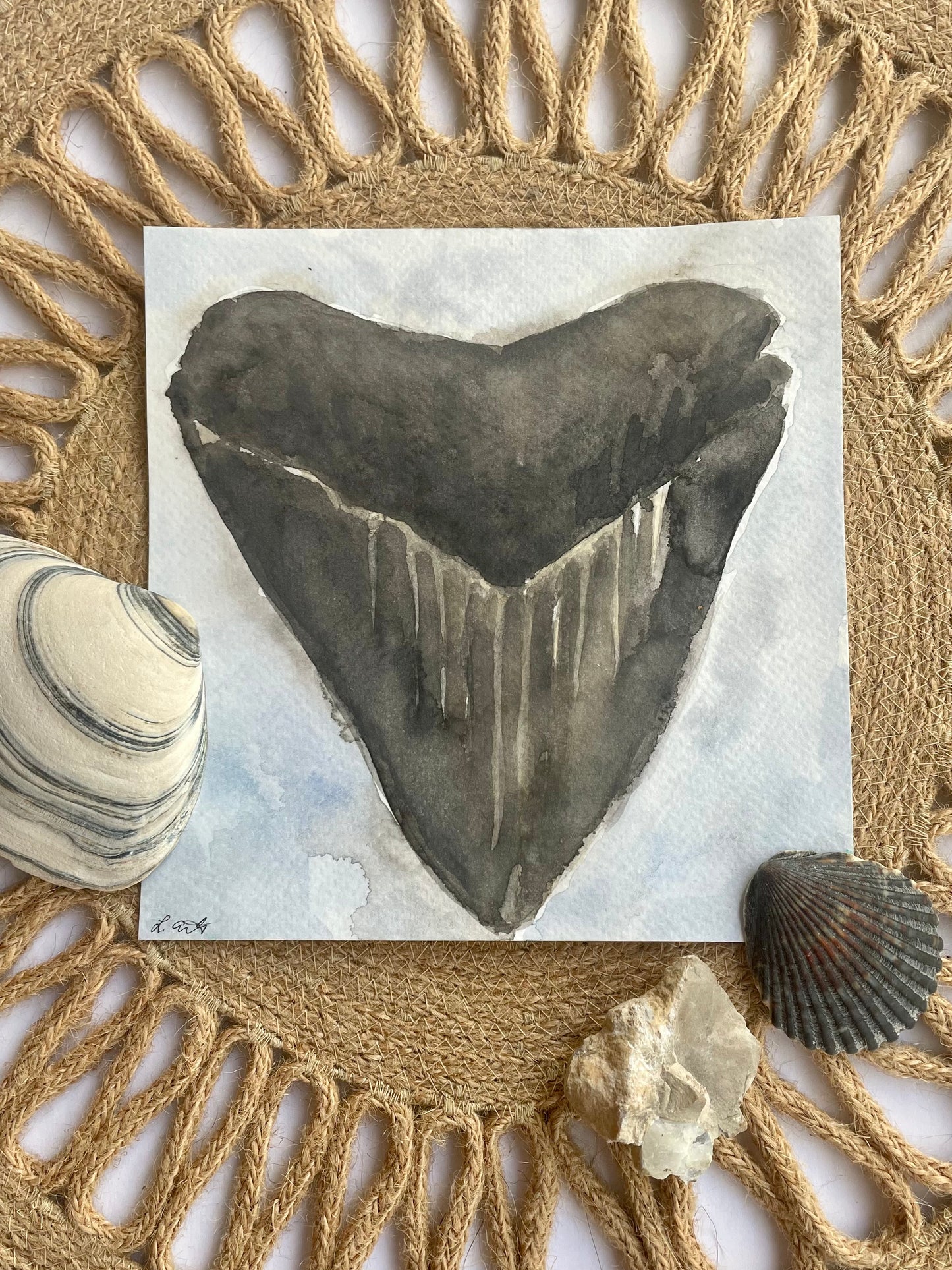 Megalodon Shark Tooth (watercolor print)