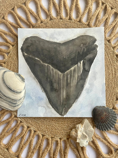 Megalodon Shark Tooth (watercolor print)