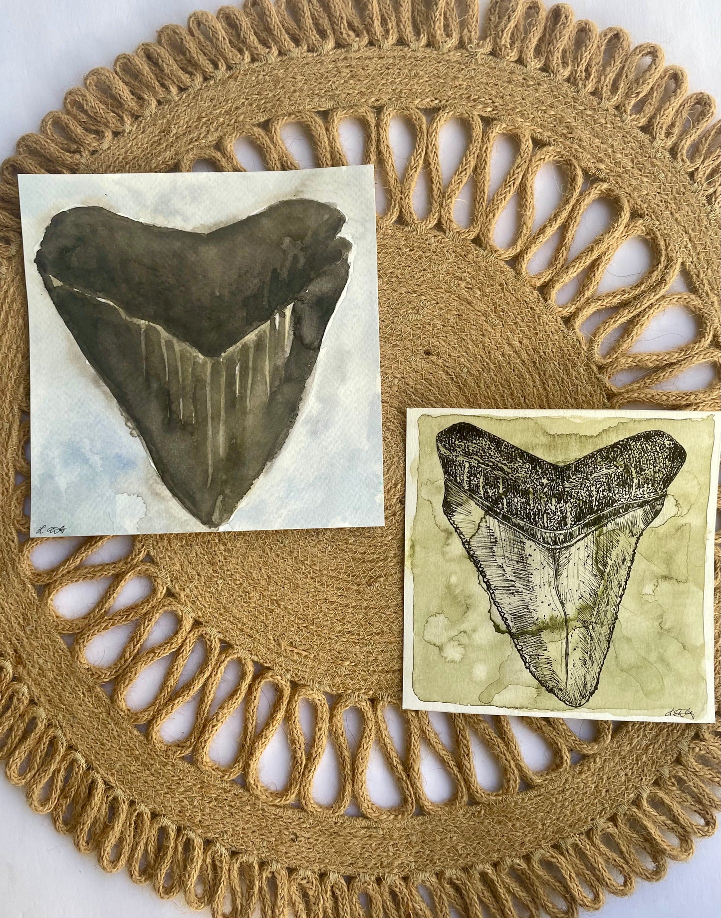 Megalodon Shark Tooth (watercolor print)