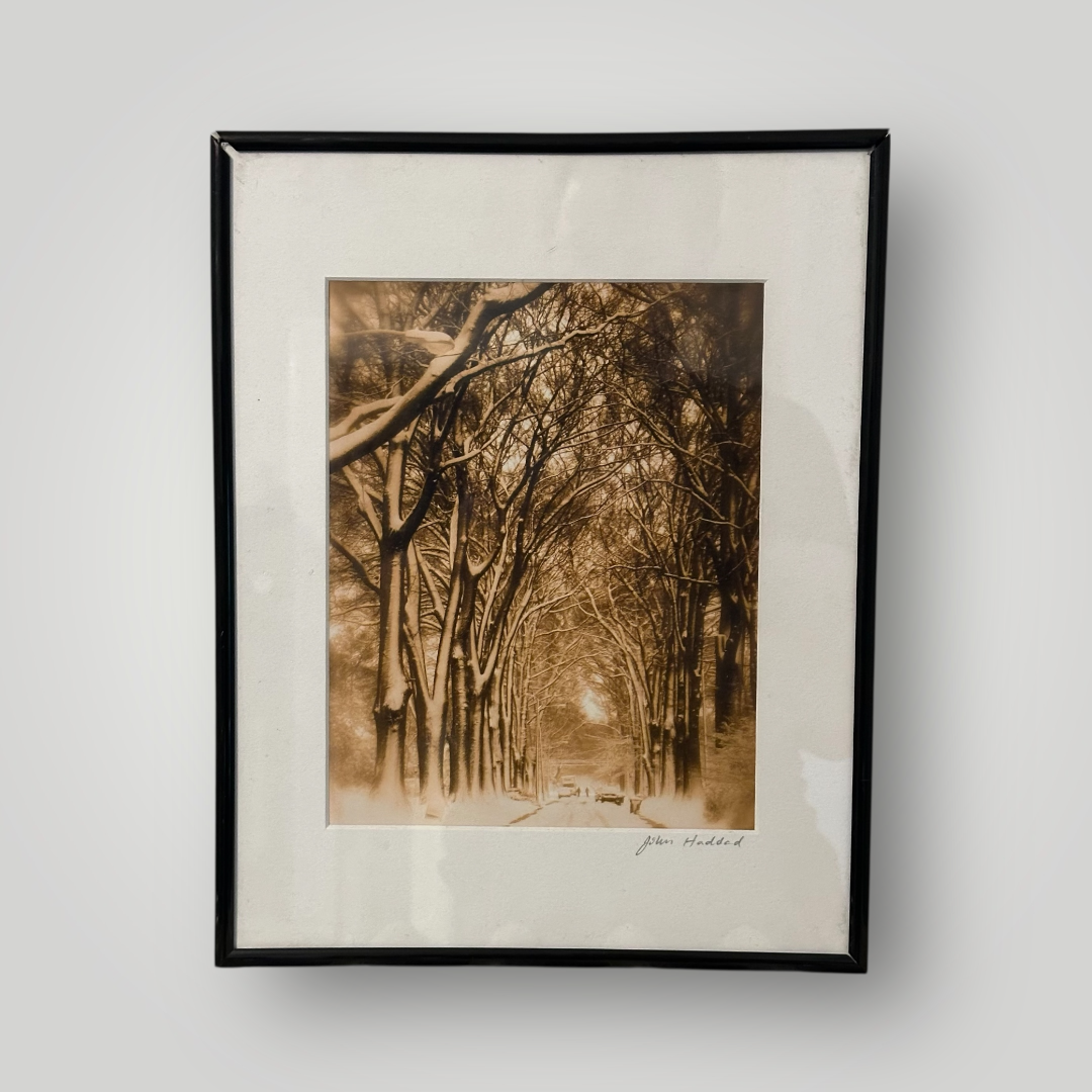 "Seminary Cathedral" - Photography by John Haddad