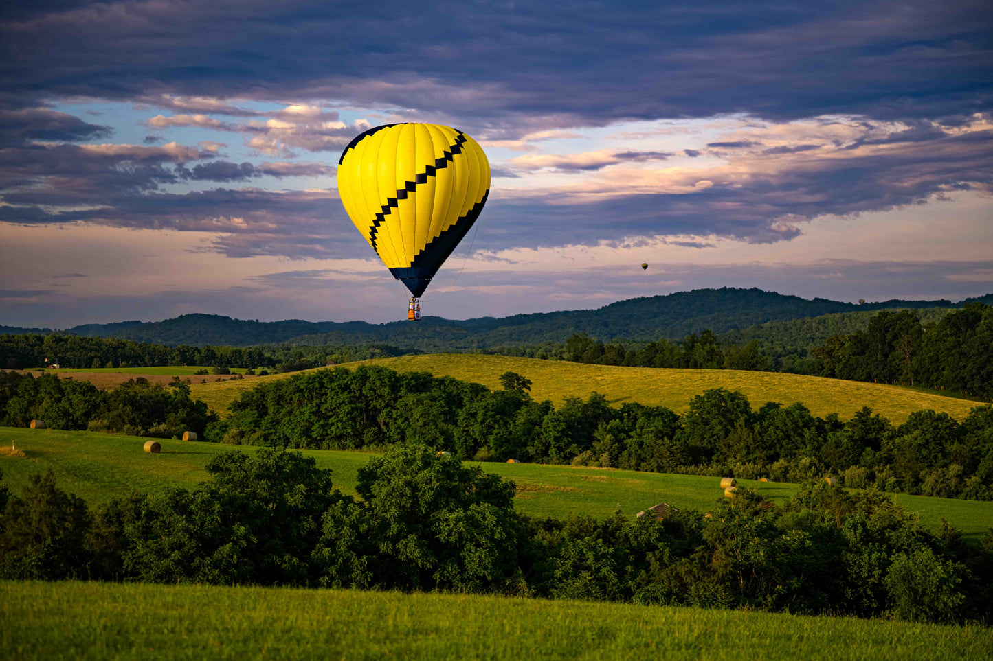 Balloon Festival 7: 15x10 Metal Print