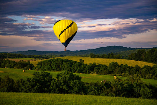 Balloon Festival 7: 15x10 Metal Print