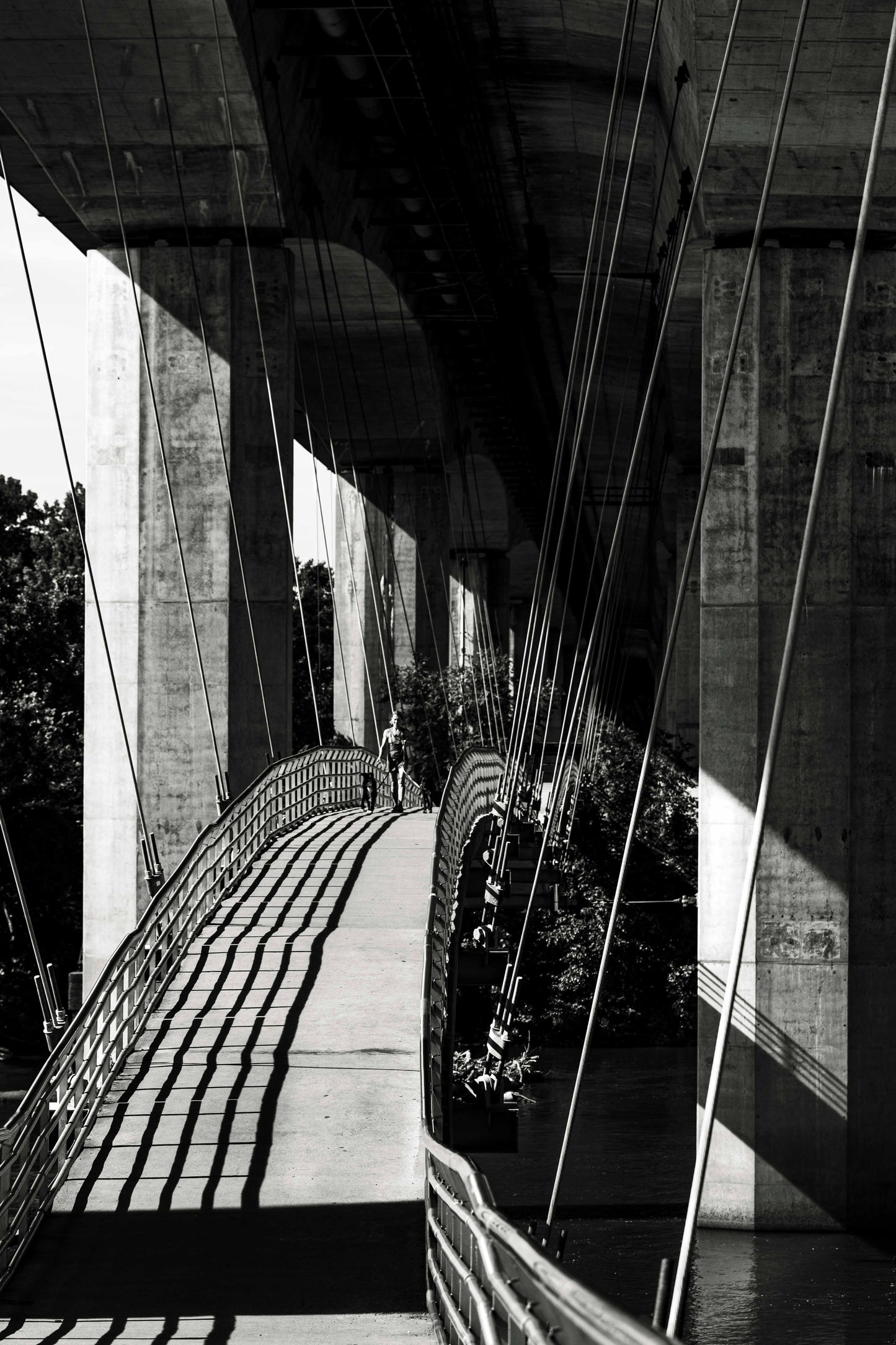 Belle Isle Pedestrian Bridge in the Morning: 24x16 Metal Print