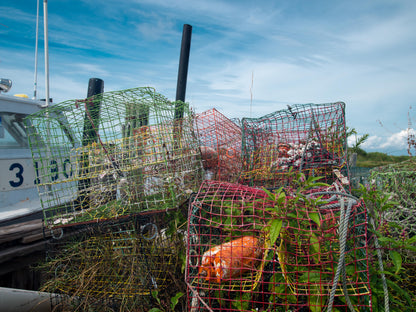 Rodanthe Crab Pots: 8x12 Mounted Print