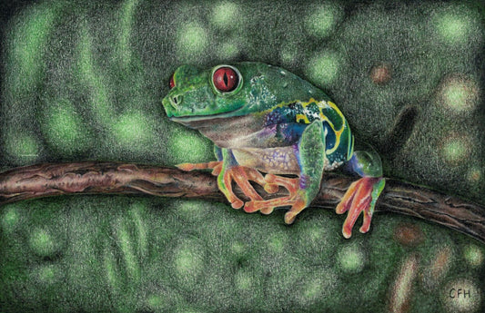 Tree Frog Print